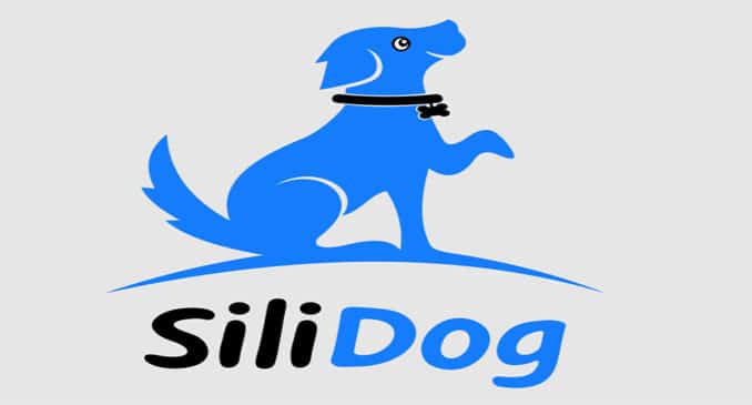 Silidog Net Worth