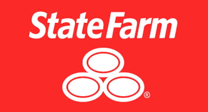 State Farm Net Worth