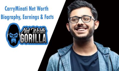 CarryMinati Net Worth