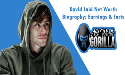 David Laid Net Worth