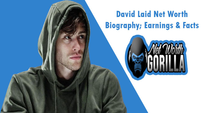 David Laid Net Worth