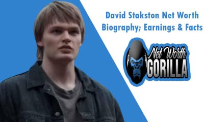 David Stakston Net Worth